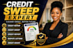 professionally clean and improve your credit report