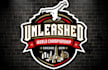 professional competition logo for events, tournaments