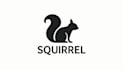 design outstanding squirrel mascot logo in one day