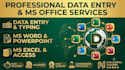 data entry and ms office expert