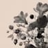 draw illustrations with flowers and different objects