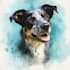 watercolor draw watercolor pet portrait