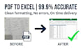 do accurate data entry and PDF to excel conversion