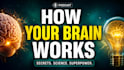 design high CTR youtube thumbnails