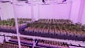 create 3d ag tech animation automated vertical farming robotics video