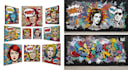 create graffiti pop art canvas designs and murals