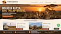 develop a modern business website