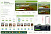 build a professional responsive website