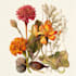 illustrate best botanical illustration