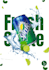 design professional posters and advertisement banners