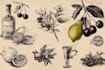 create botanical logo for you