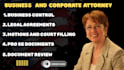 draft professional business control agreements and operating agreements