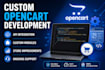 fix bugs and make changes in your opencart website