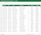 do data cleaning, excel formatting, and PDF to excel conversion