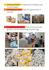 china sourcing agent, negotiation, inspection, dropshipping