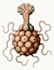 create draw a scientific illustration