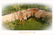 modern dog house design with 3d render