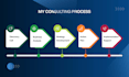 provide professional business consulting services