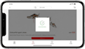 design modern mobile app and website uiux in figma