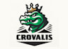draw awesome crocodile mascot logo with express deliver