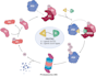 create scientific figures and data visualizations