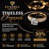 design flyers posters and business advertisements