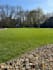 help transform your lawn