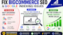 fix bigcommerce SEO issues google indexing errors schema markup and technical