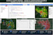 do google earth engine analysis, ndvi and remote sensing