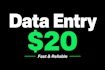 do data entry typing work