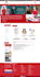 develop a professional wordpress web application or fix bugs