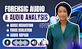 do forensic audio editing, background noise reduction, cleanup, enhancement