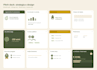 review or build your investor pitch deck for fundraising
