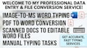 accurately do image to text