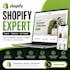 build a professional shopify store for your busines