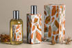 packaging and product packaging design