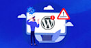 fix wordpress frontend design and layout issues