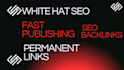 provide business guest posting and SEO backlinks