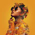 make you fabulous collage art design