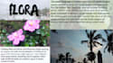 create professional and visually appealing powerpoint presentations