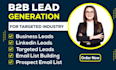 provide b2b lead generation and email list building service