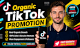 complete  tiktok monetization  for creator  rewards  program
