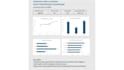 create a professional excel dashboard and sales report