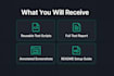 test your web application and deliver a full automation test suite