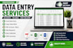 do data entry, excel data entry, PDF to excel and web research