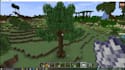 create a custom minecraft fabric mod, forge mod, or neoforge mod