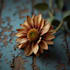 create professional digital image designs