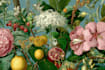 create a professional botanical fruit plants illustration