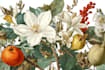 paint custom botanical plants fruits illustration