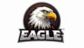 do unique custom american eagle skull head logo design
